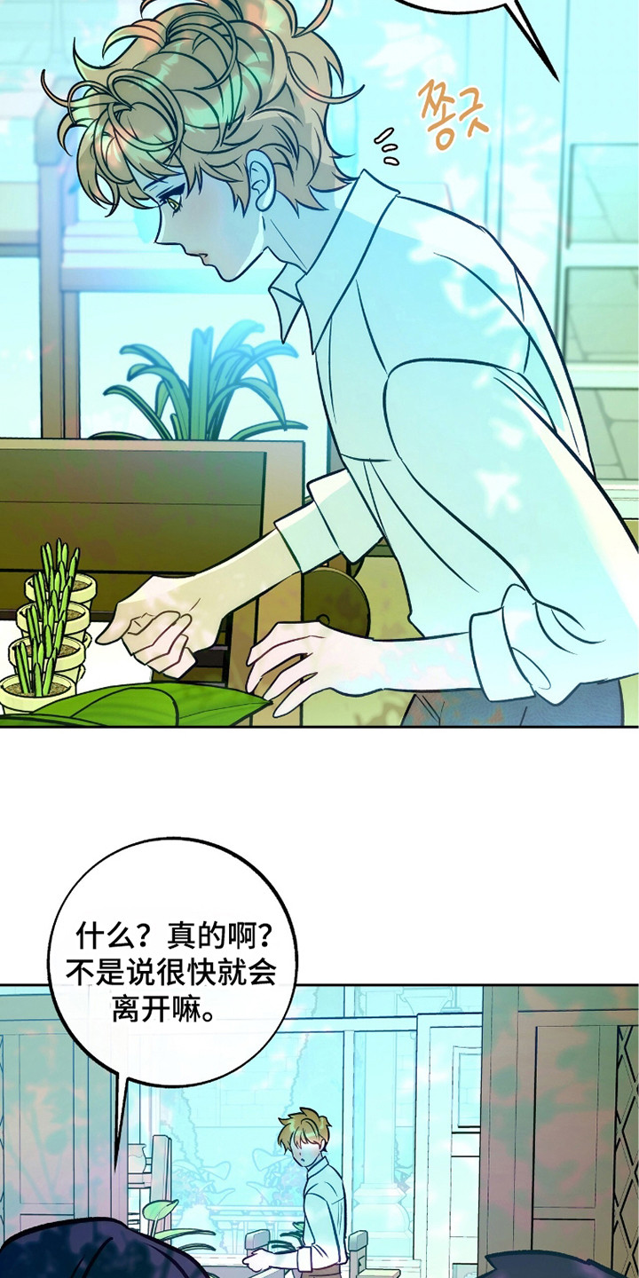 少爷的金鱼仆从漫画,第15章：微笑的样子4图