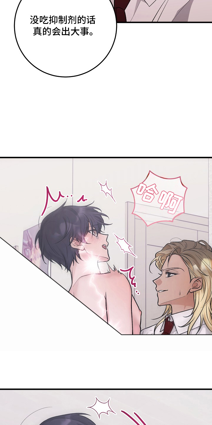 双阿尔法困境人气角色漫画,第8章：兄弟5图