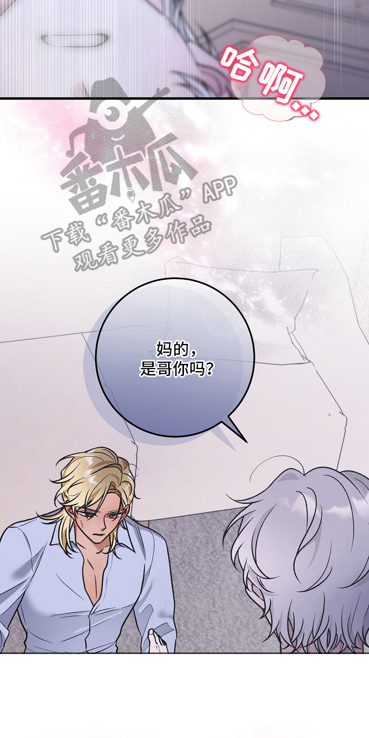 双阿尔法困境精彩片段漫画,第12章：被发现4图