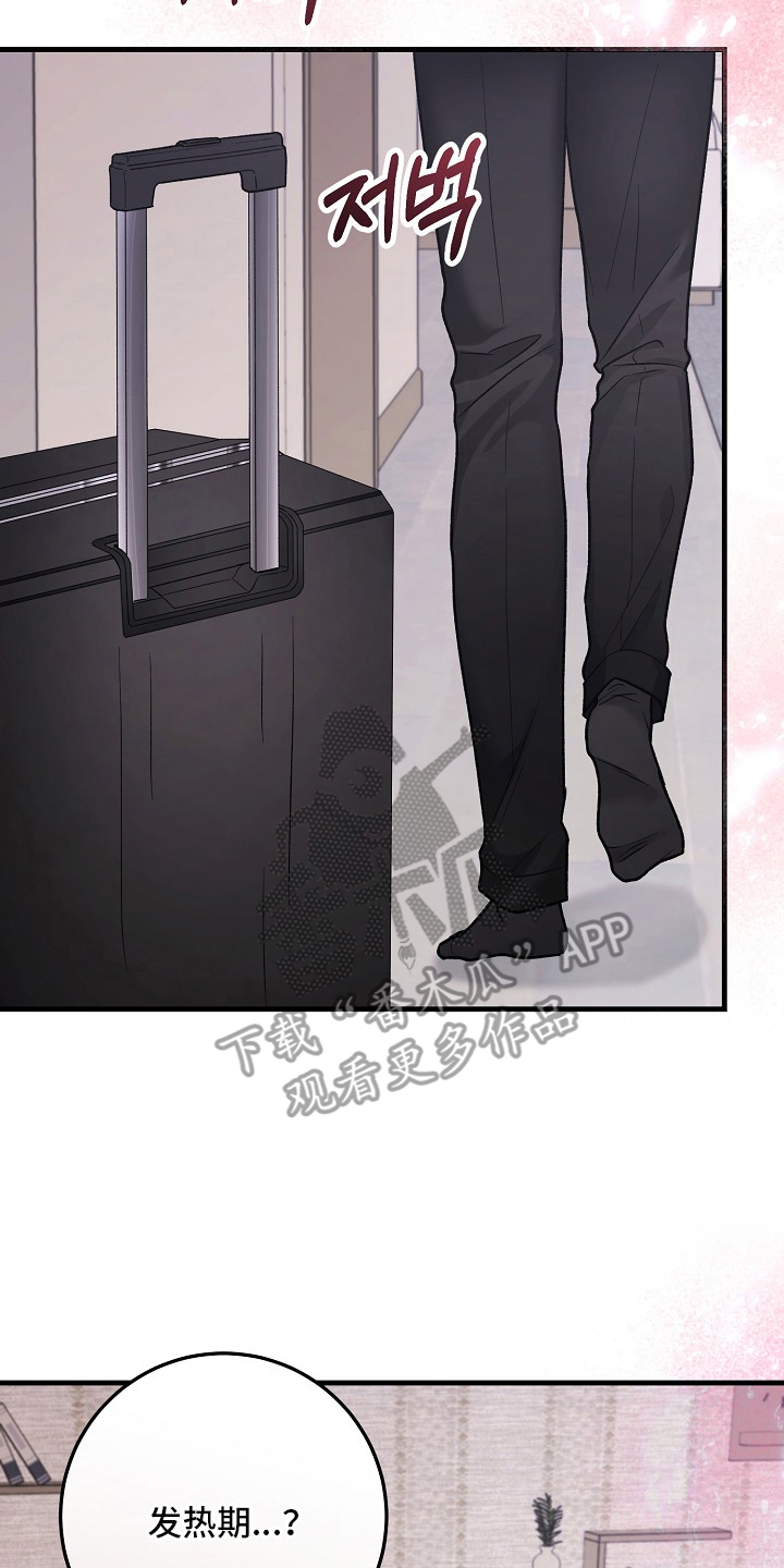 双阿尔法困境漫画,第11章：哥来了5图