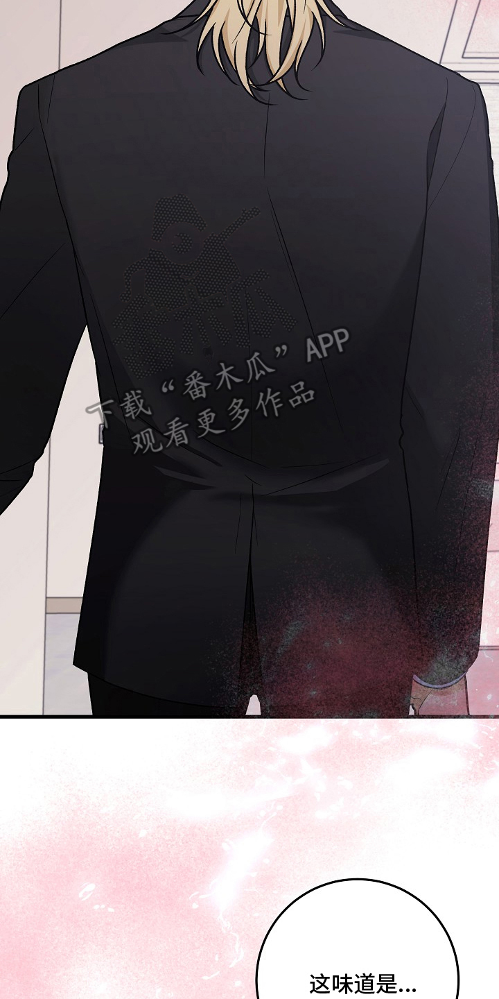 双阿尔法困境漫画,第11章：哥来了3图