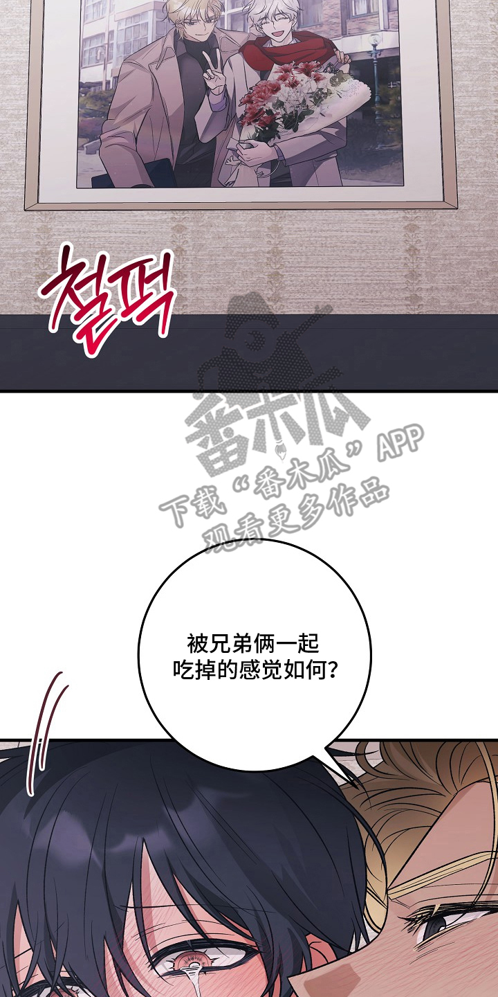 双阿尔法困境人气角色漫画,第8章：兄弟5图