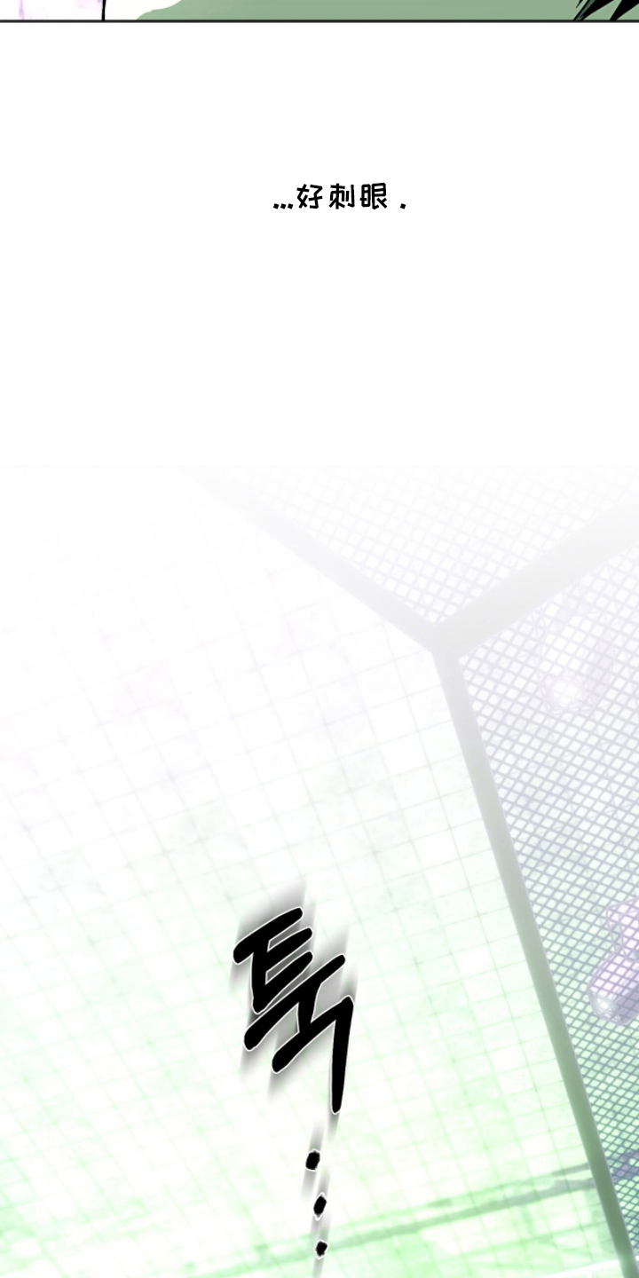 梦想光荣漫画,第7章：禁止打架2图