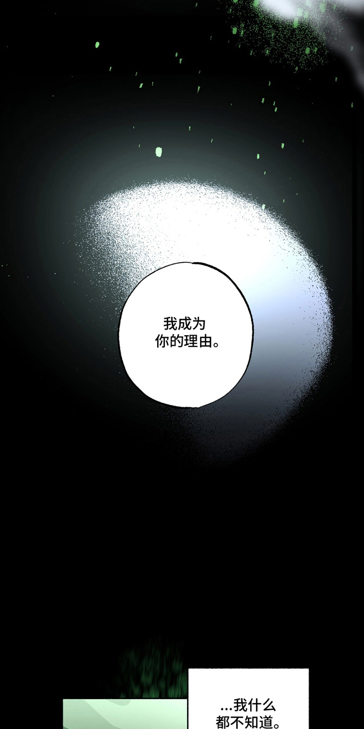 梦想男孩漫画,第17章：你的理由1图