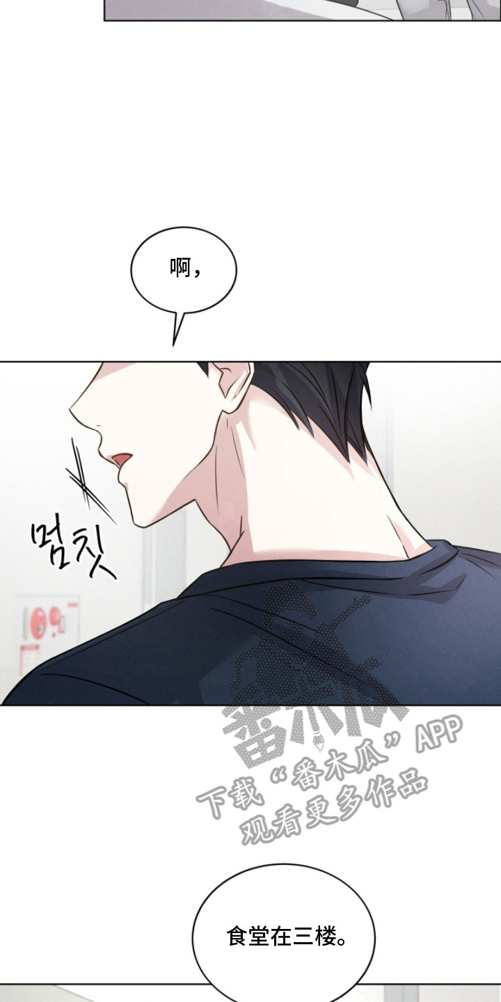 冰上星火漫画,第5章：盯着看4图