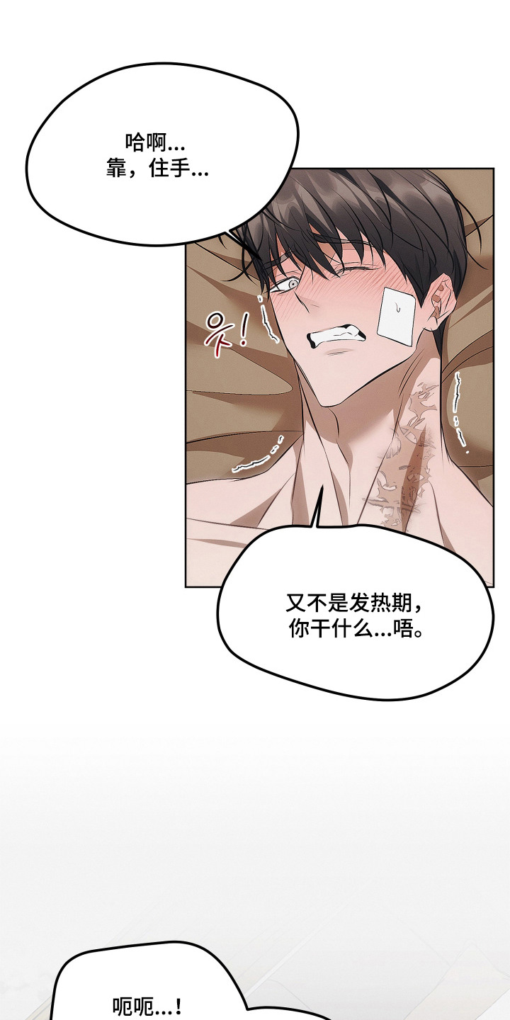 逆命欧米伽漫画结局详情漫画,第8章：固执5图