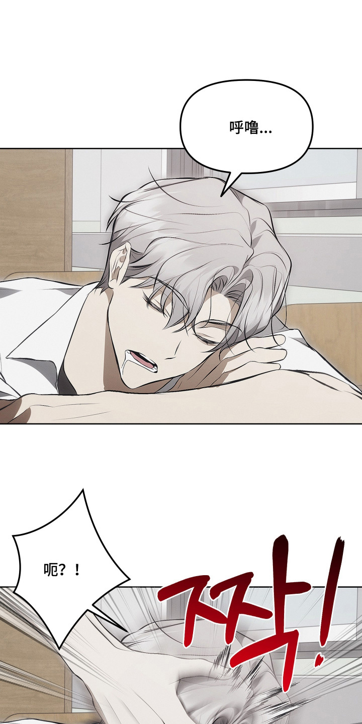 逆命欧米伽漫画,第19章：命运的安排1图