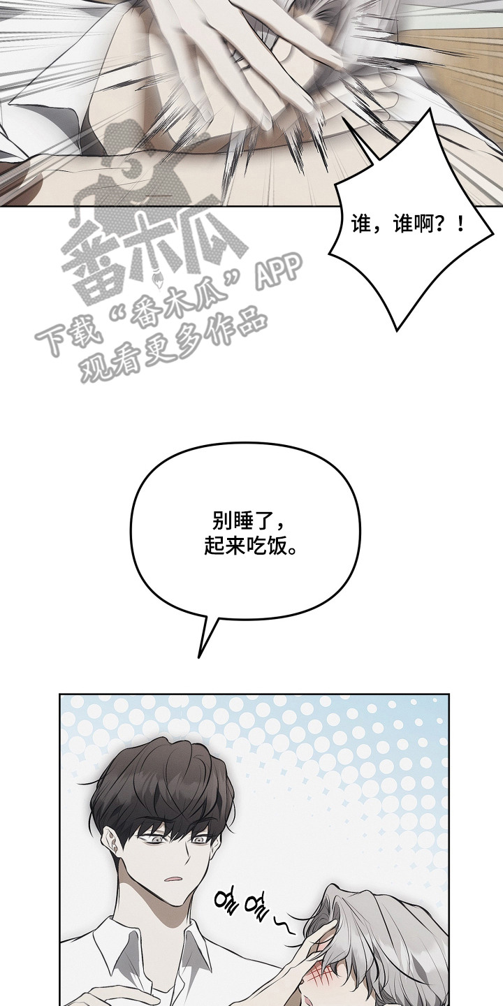 逆命欧米伽漫画,第19章：命运的安排2图