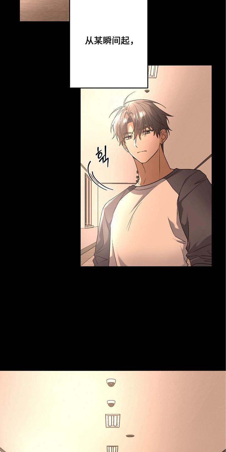 伪装者死间计划具体内容是什么漫画,第8章：遮住脸5图