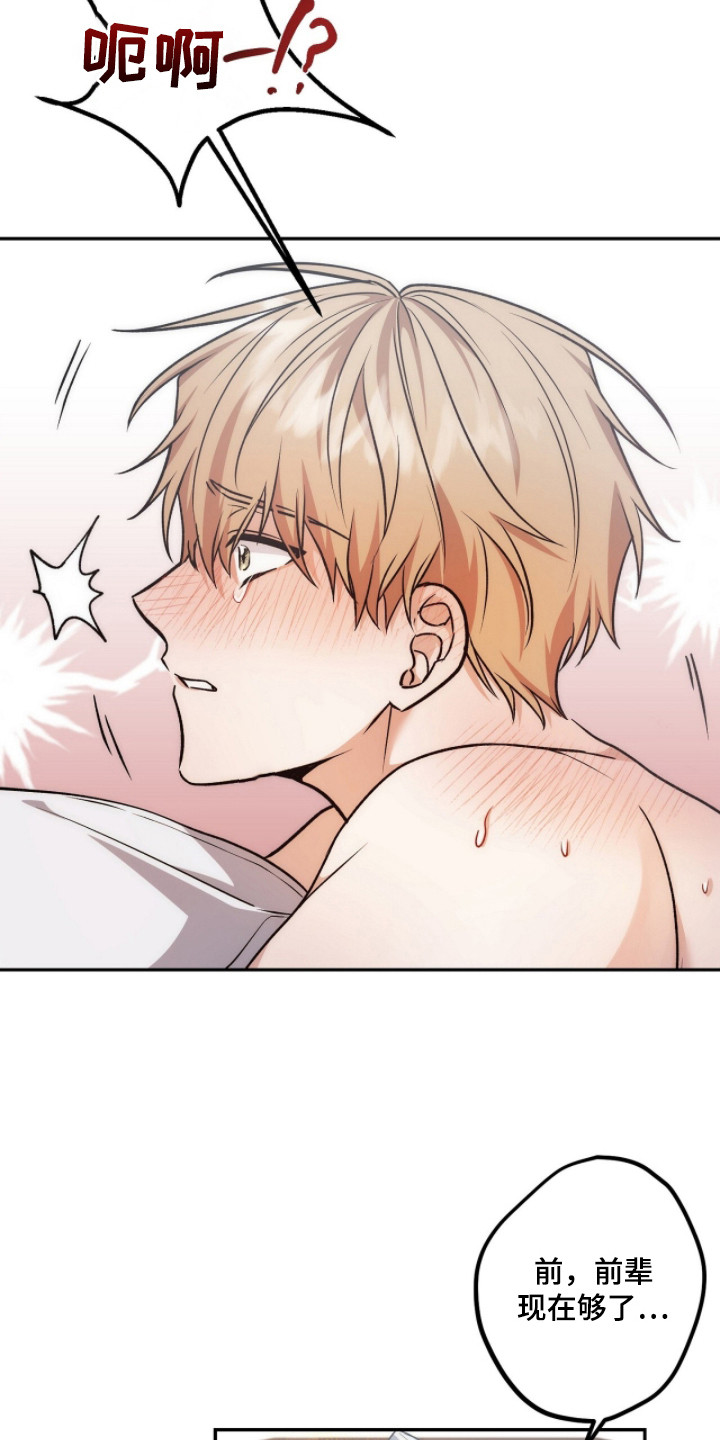 伪装贝塔更新漫画,第9章：万幸1图