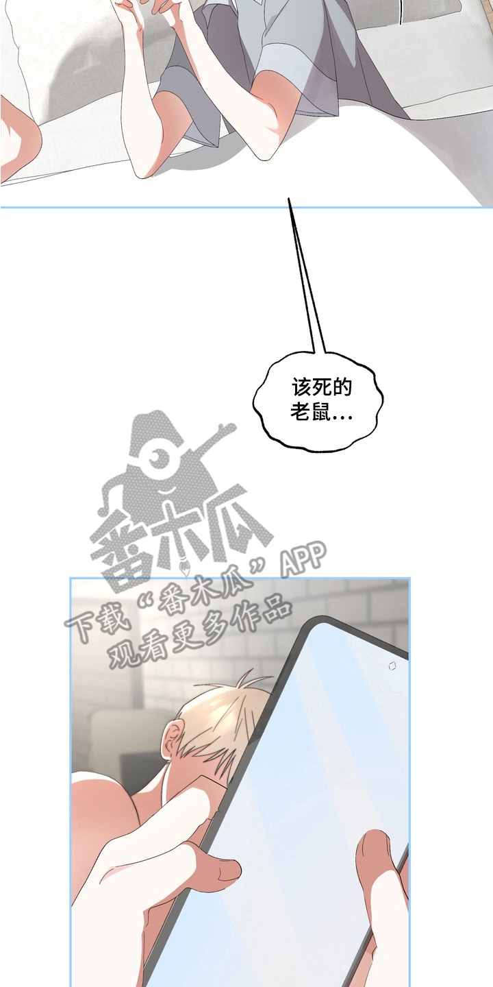 我的老鼠学长漫画角色介绍漫画,第12章：纠结3图