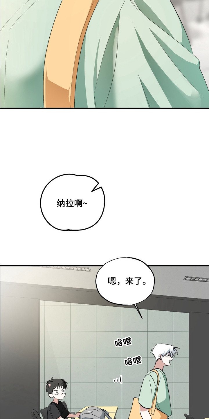 我的老鼠学长漫画解析漫画,第1章：表白1图