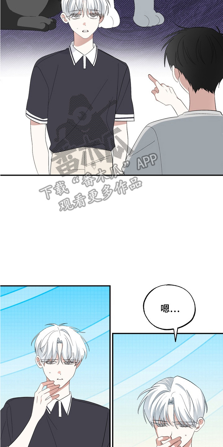 我的老鼠学长漫画,第9章：心意2图