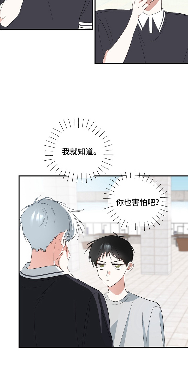 我的老鼠学长漫画,第9章：心意3图