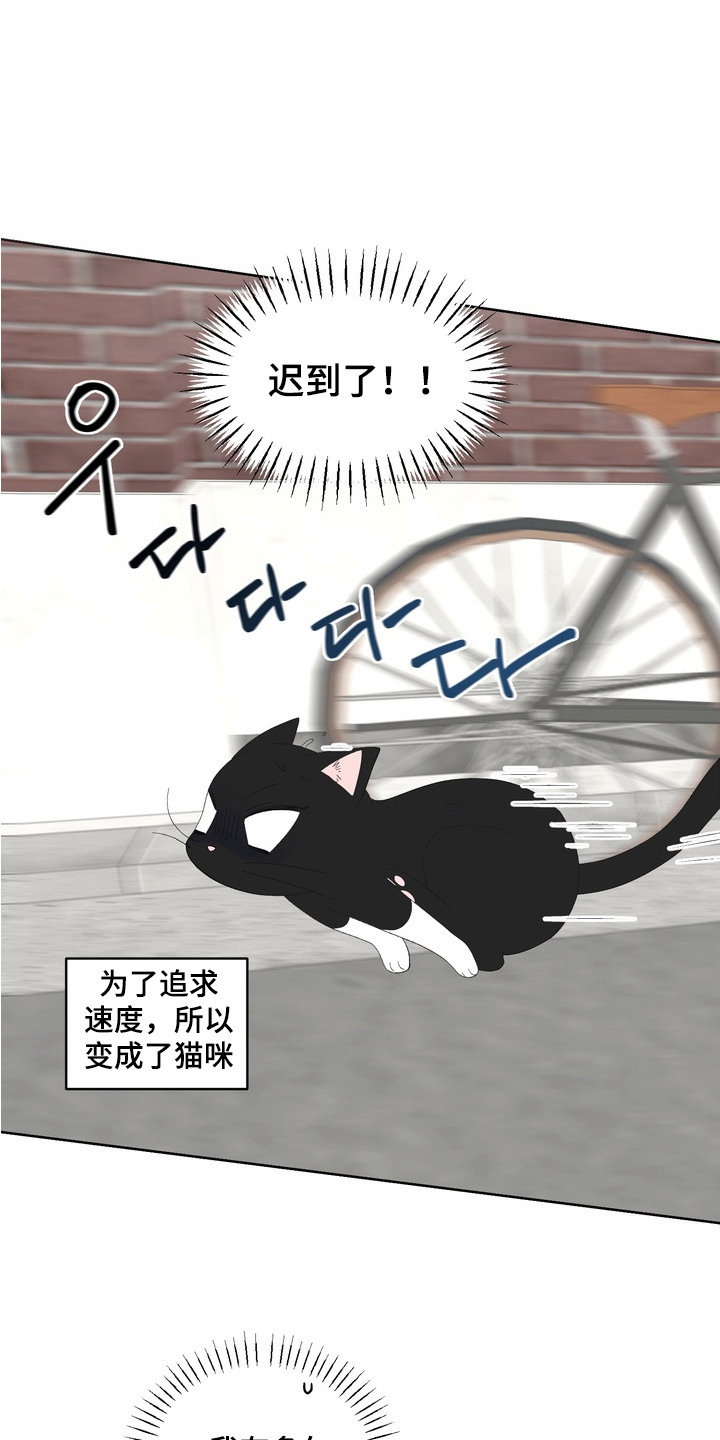 我的老鼠学长漫画解析漫画,第13章：做梦4图