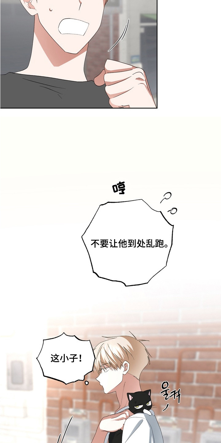 我的老鼠学长漫画,第14章：解围4图