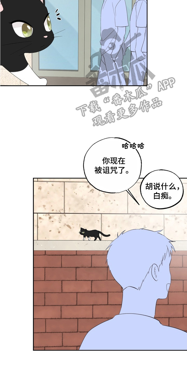 我的老鼠妹妹作文漫画,第11章：歧视4图