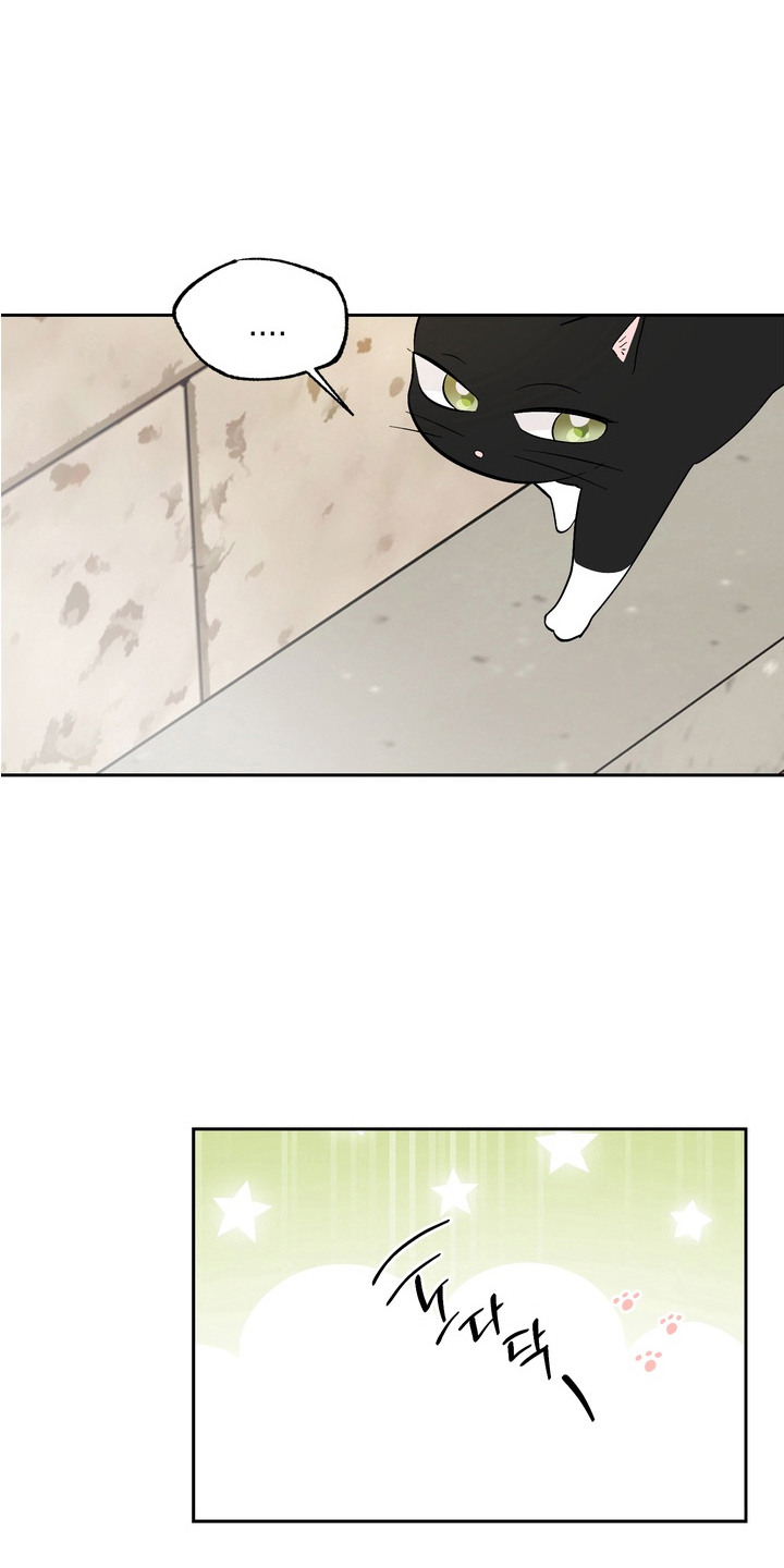 我的老鼠妹妹作文漫画,第11章：歧视5图