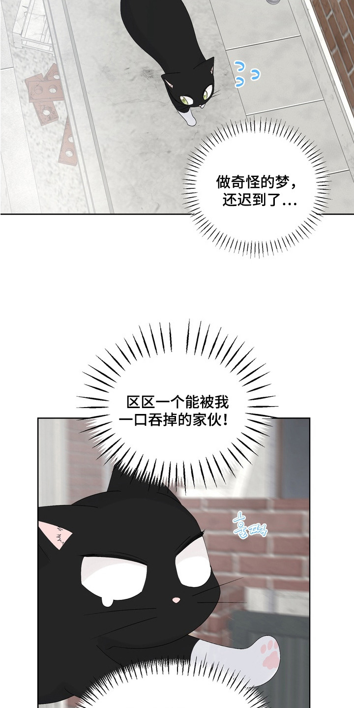 我的老鼠学长漫画解析漫画,第13章：做梦1图