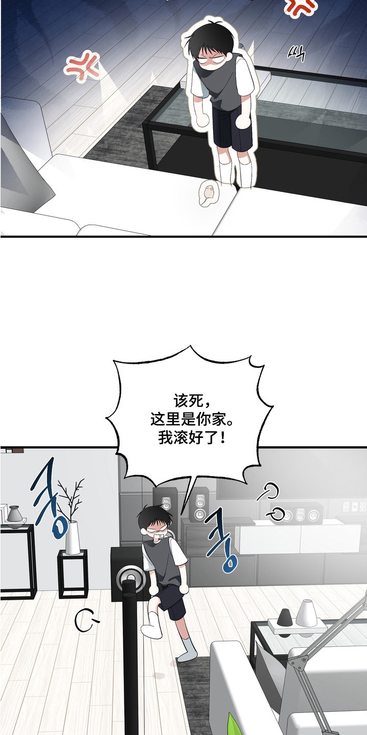 我的老鼠学长漫画解析漫画,第7章：伤心3图