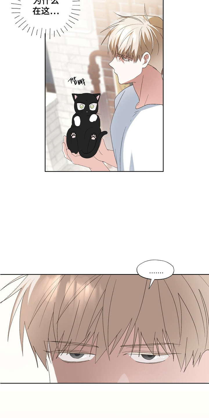 我的老鼠学长漫画,第14章：解围1图