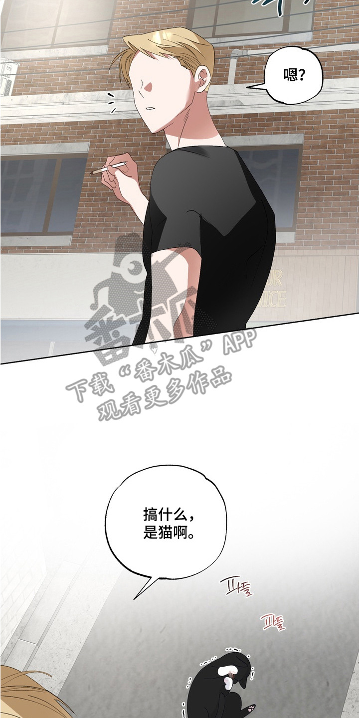 我的老鼠学长漫画解析漫画,第13章：做梦3图