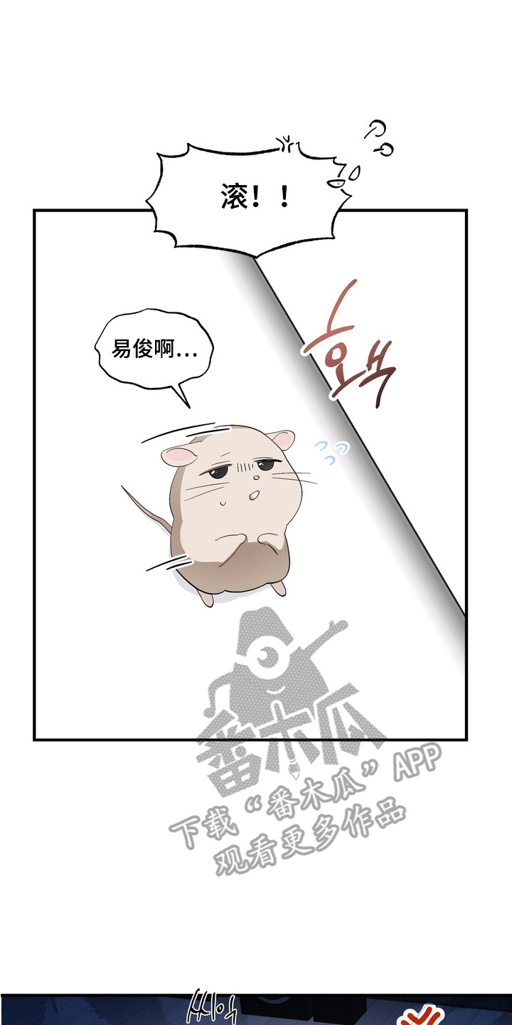 我的老鼠学长漫画解析漫画,第7章：伤心2图