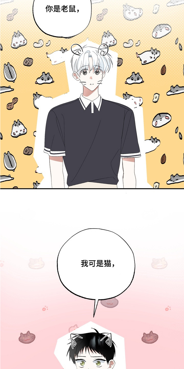 我的老鼠学长漫画,第9章：心意5图