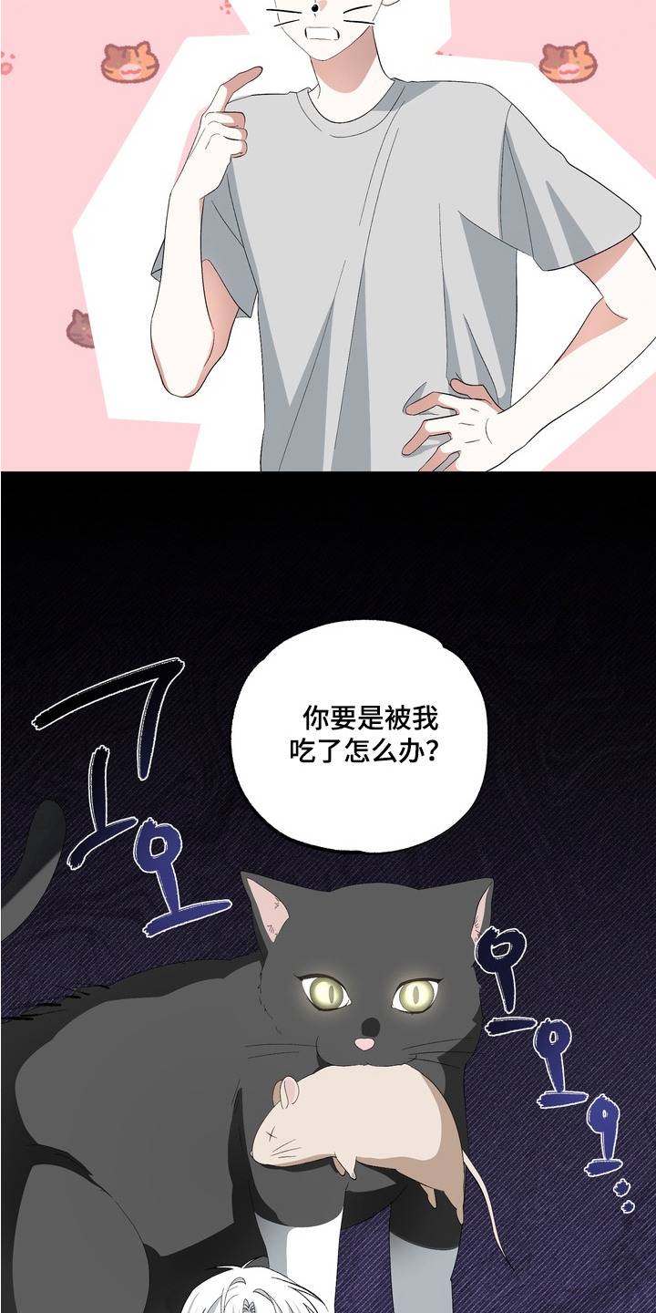 我的老鼠学长漫画,第9章：心意1图