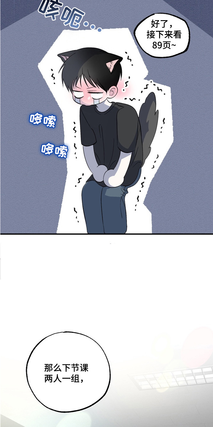 我的老鼠学长漫画解析漫画,第1章：表白1图