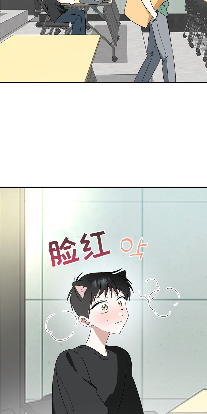 我的老鼠学长漫画解析漫画,第1章：表白2图