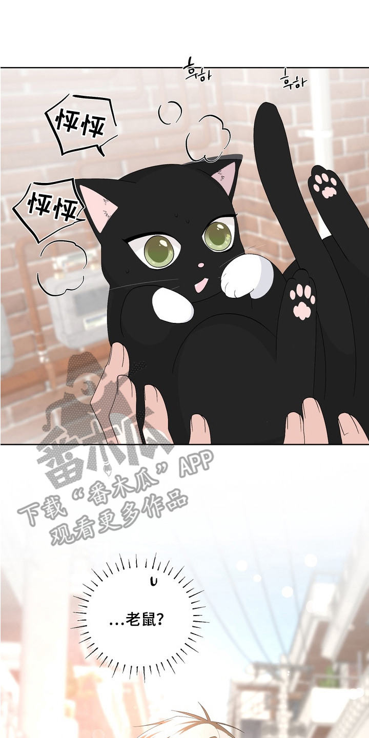 我的老鼠学长漫画,第14章：解围4图