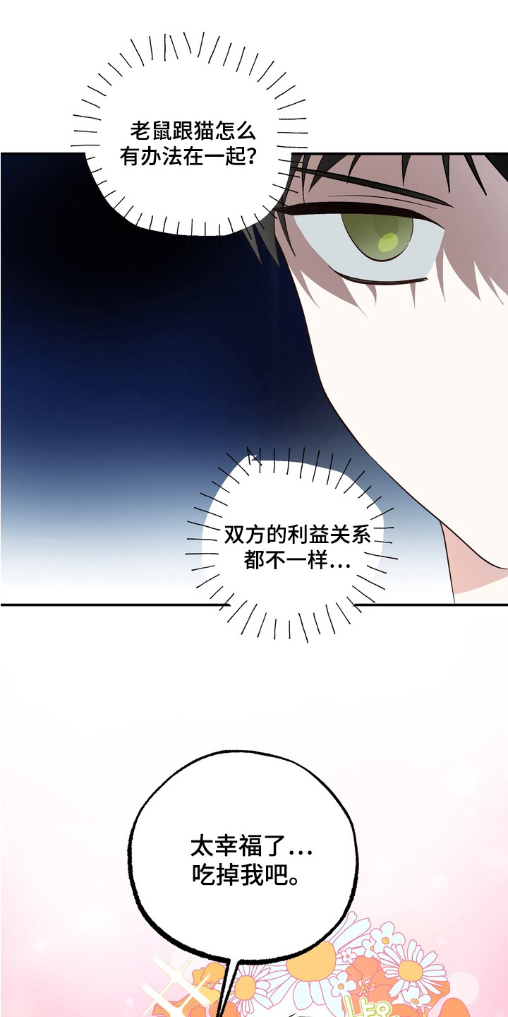 我的老鼠学长漫画,第9章：心意4图