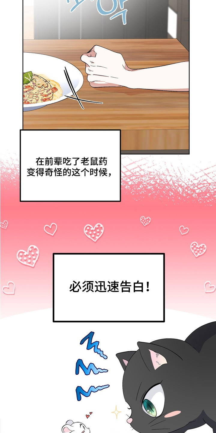 我的老鼠学长小说情节漫画,第3章：套近乎5图