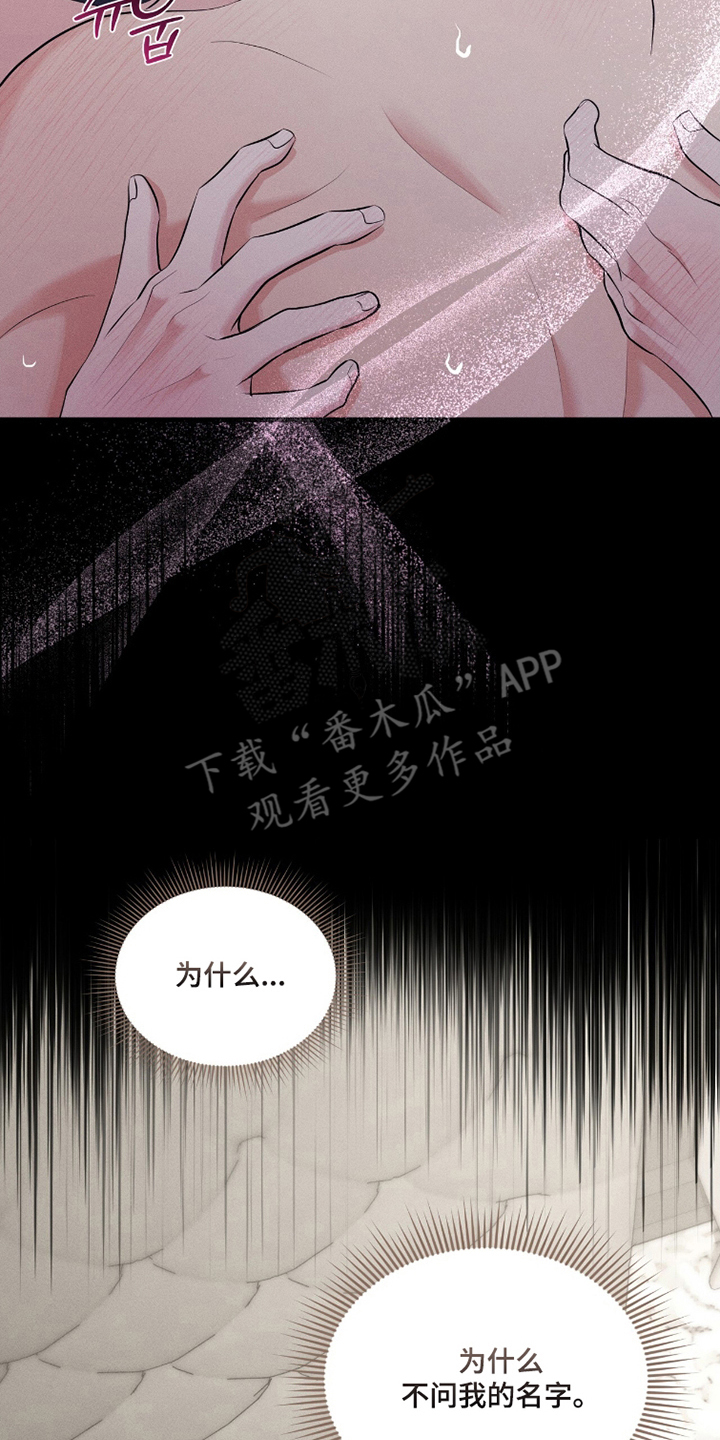 饥饿城市的温柔作者漫画,第8章：别多管闲事3图