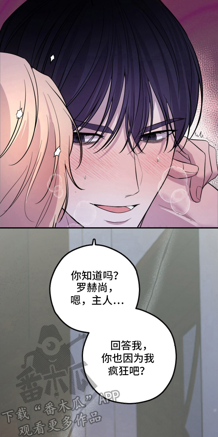 支配者克苏鲁被谁封印漫画,第1章：黑龙与金鸟4图