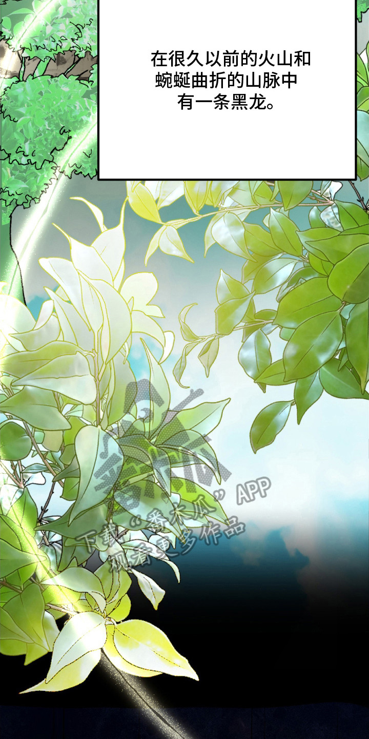 支配者克苏鲁被谁封印漫画,第1章：黑龙与金鸟1图