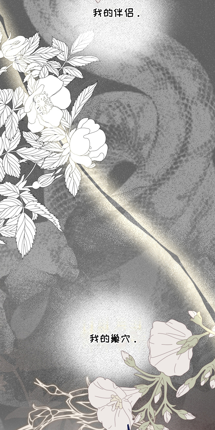 支配者游戏漫画,第11章：我的伴侣1图