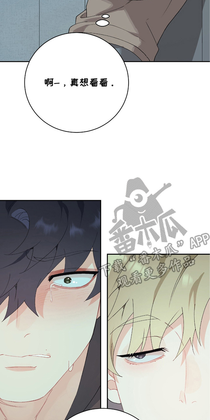 爱如荆棘漫画,第13章：谎言2图