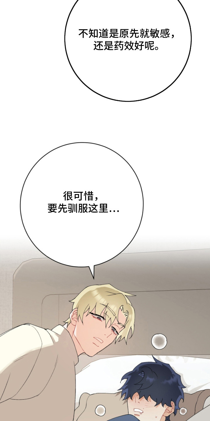 第16章：刚刚开始2