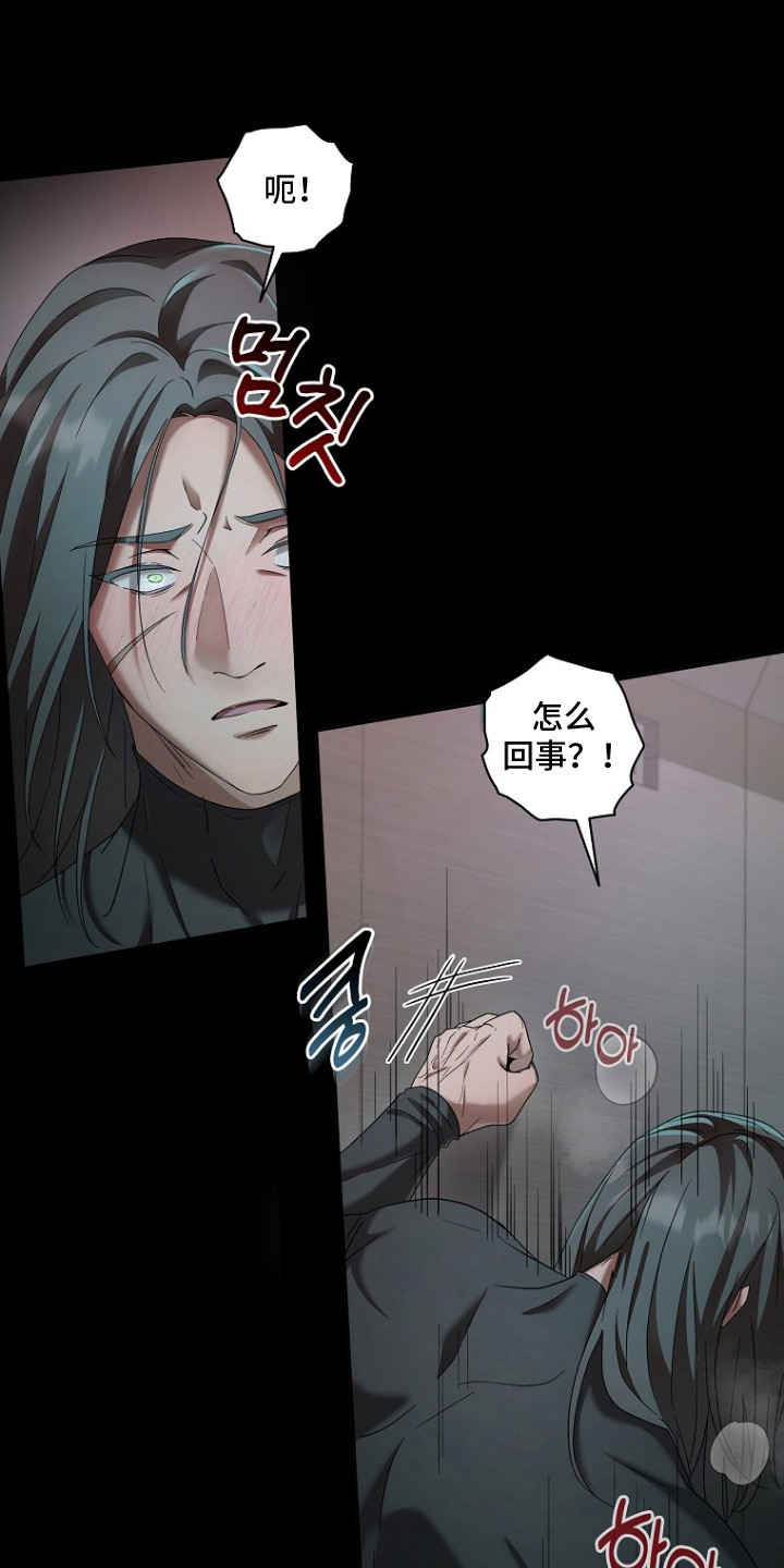 特工陷阱小白脸身份漫画,第2章：药物5图