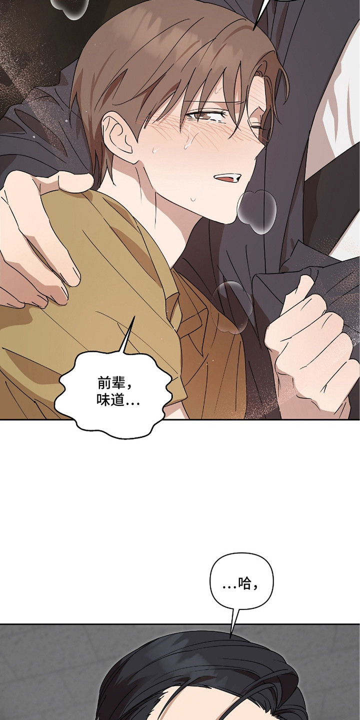 樱花如若初舞漫画,第8章：状态恶化4图