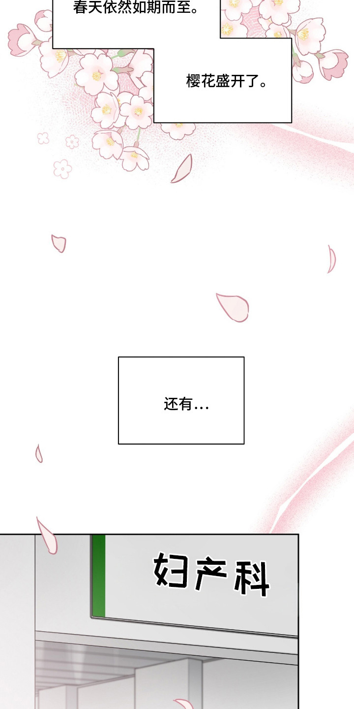 樱雨阁童装工厂直营店漫画,第2章：怀孕3图