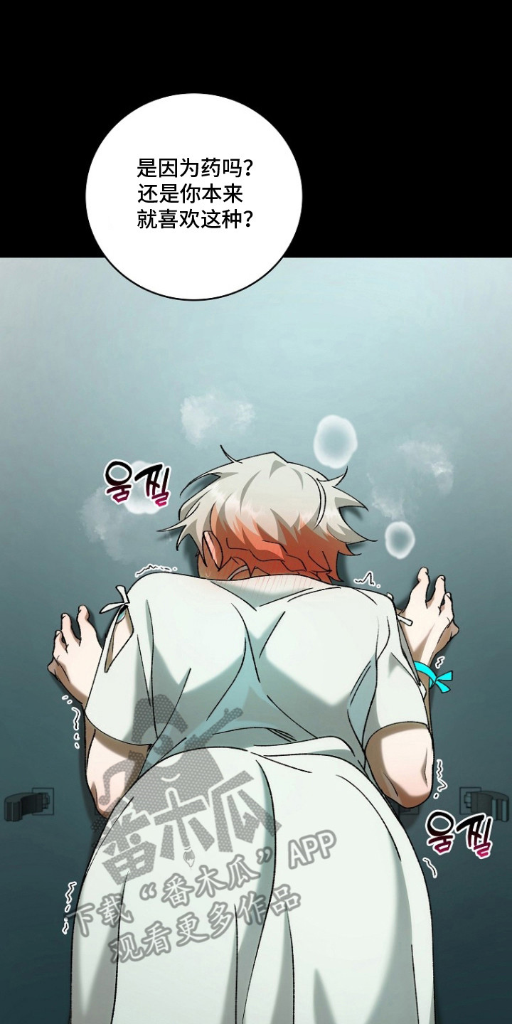 蔚蓝囚笼漫画,第3章：仔细研究4图