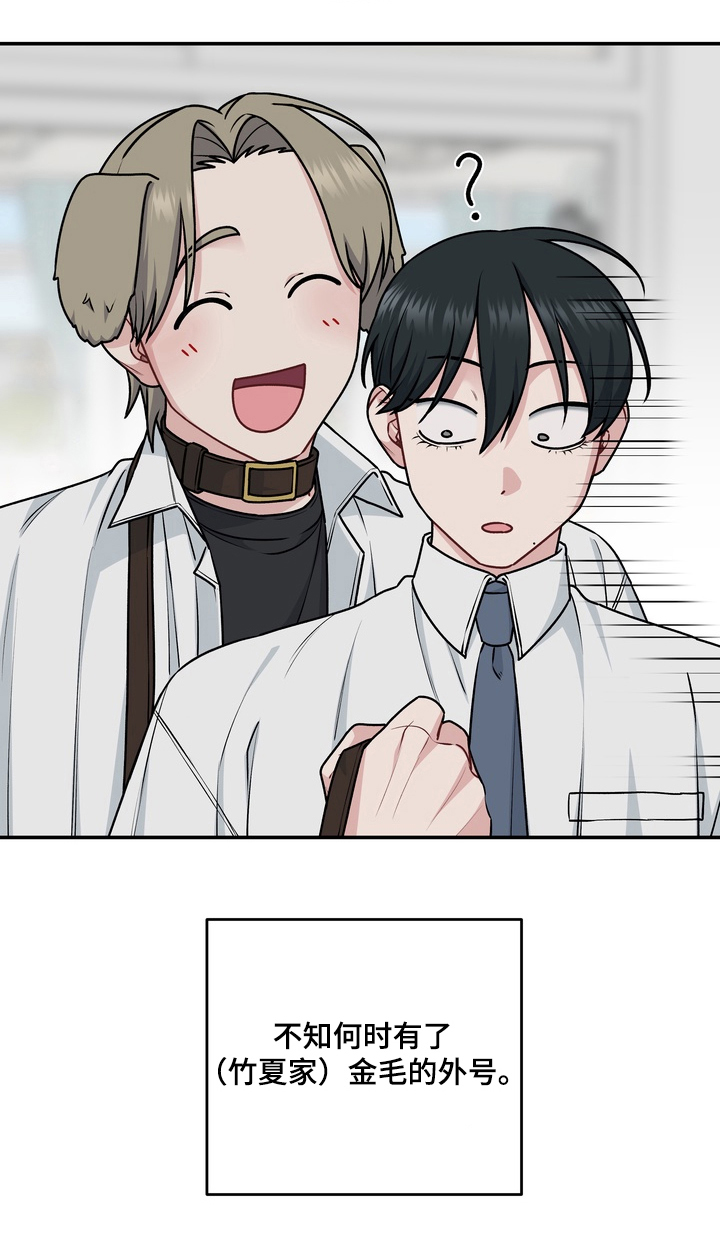 片场失控恋爱实录漫画,第12章：金毛4图
