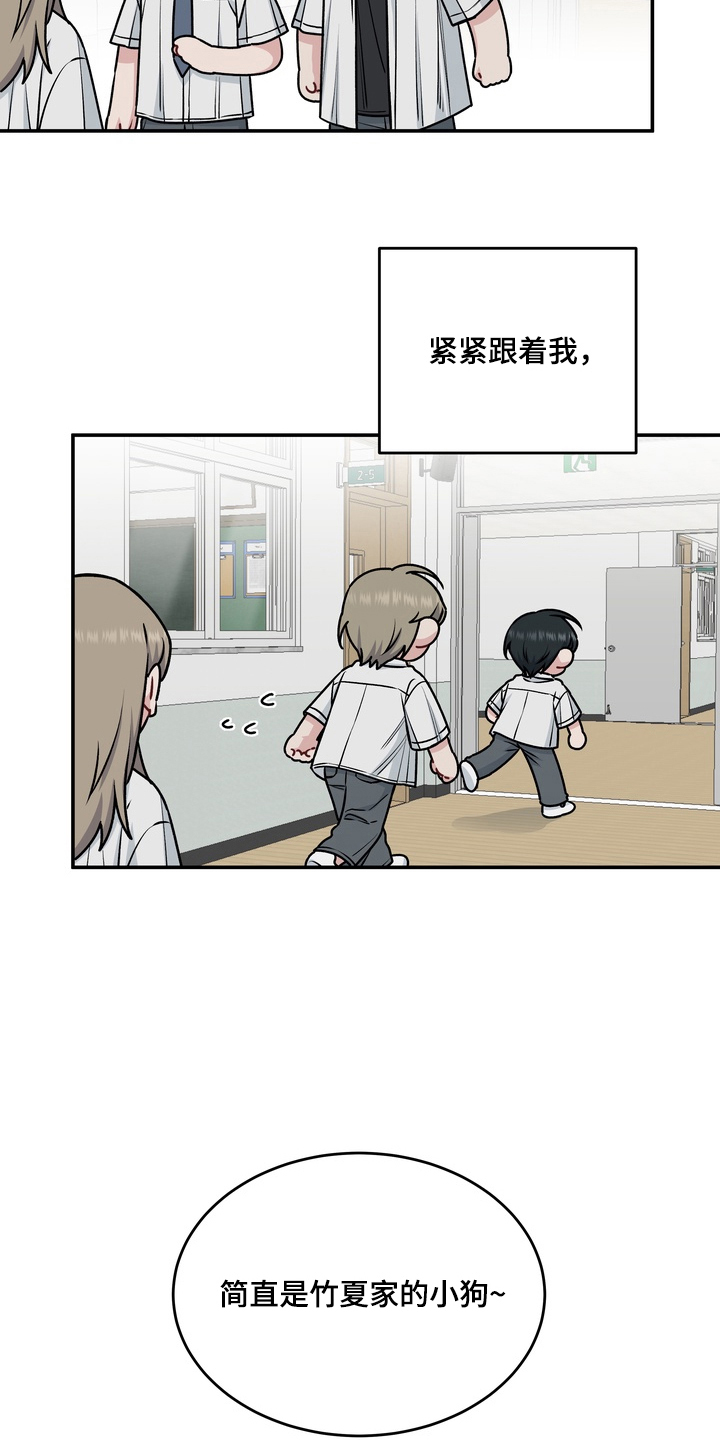 片场失控恋爱实录漫画,第12章：金毛3图