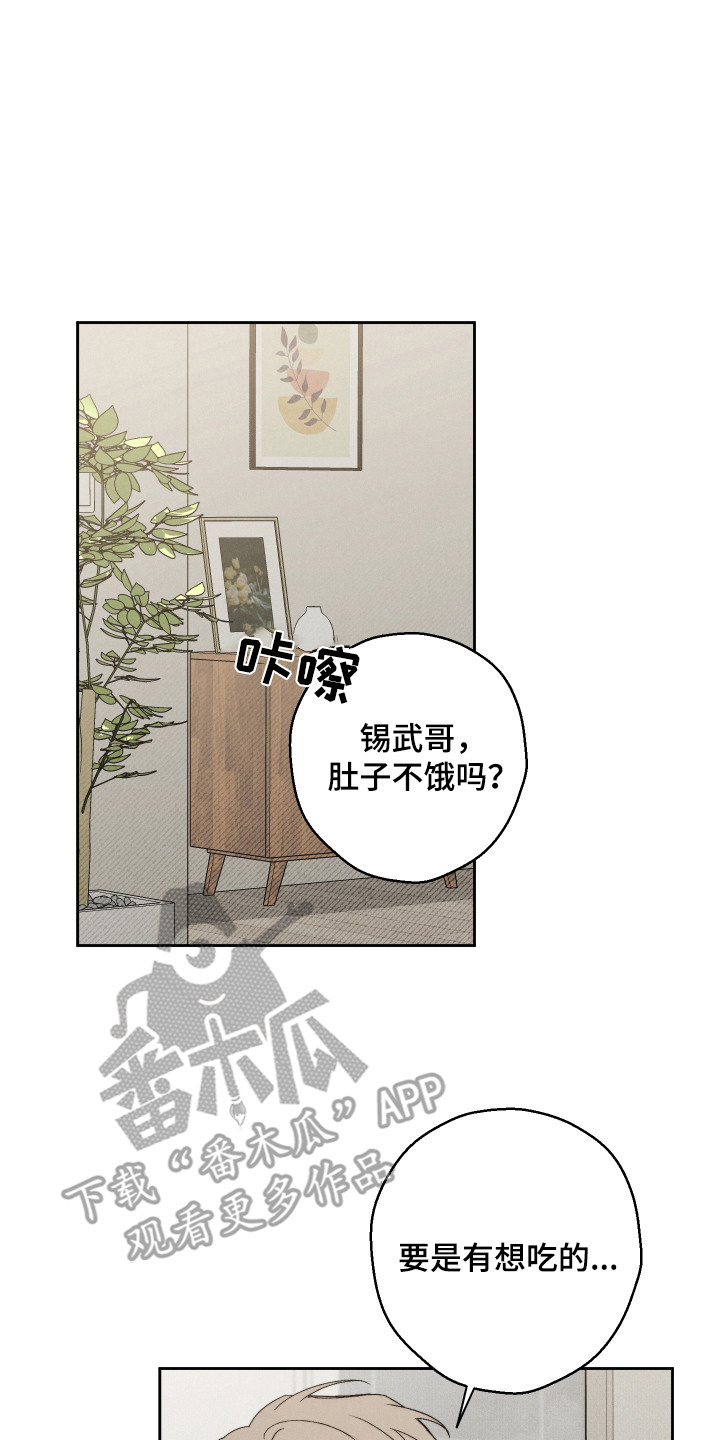 过气偶像饲养指南漫画,第10章：评论2图