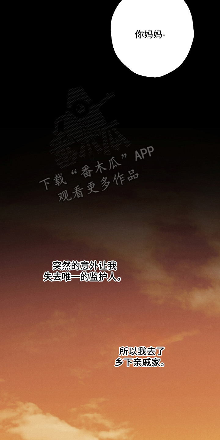 过气偶像饲养指南漫画,第12章：为你加油2图