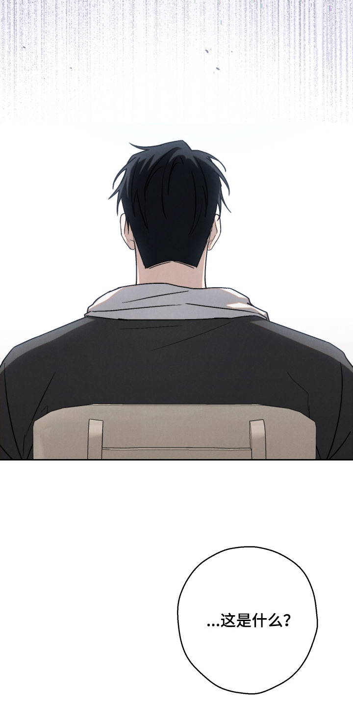 过气偶像饲养指南漫画,第10章：评论1图