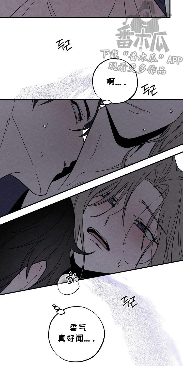 第5章：甜腻的味道4